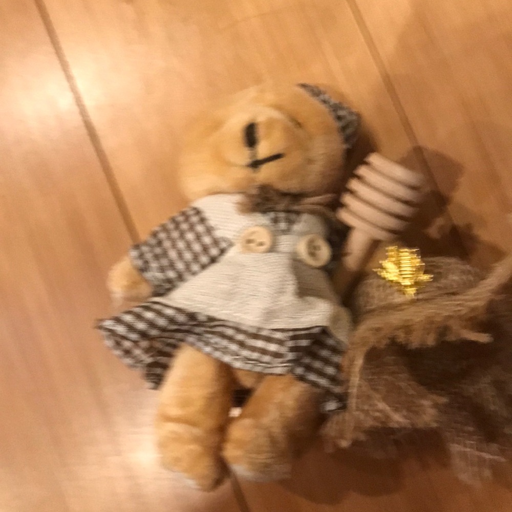 New stuffed bear